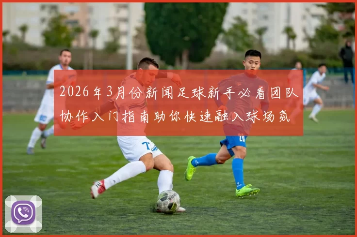 2026年3月份新闻足球新手必看团队协作入门指南助你快速融入球场氛围